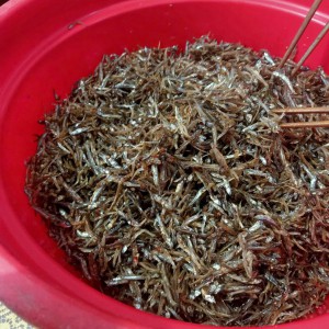 Cá cơm rim